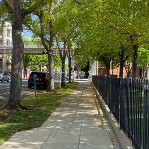 Dutch bro decals Kiss Lips